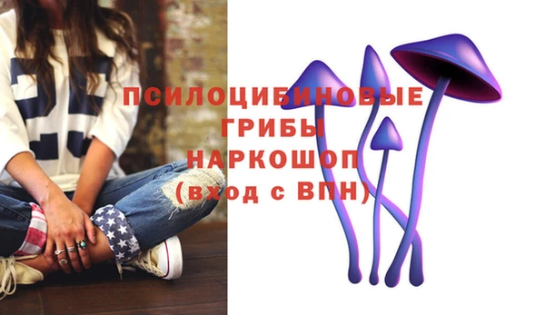 ALPHA PVP Алексин