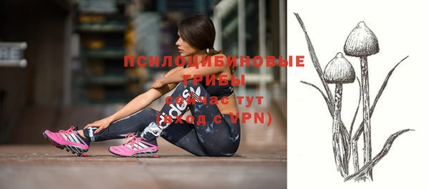 дживик Алексеевка