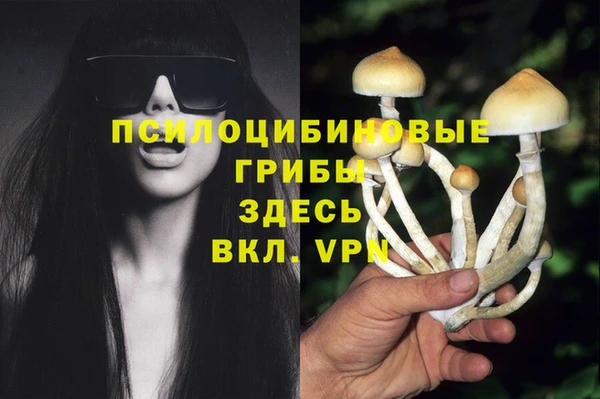 ALPHA PVP Алексин